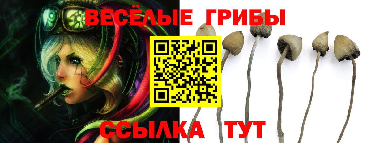 Галлюциногенные грибы GOLDEN TEACHER  где купить наркоту  Алапаевск  Вход с VPN 